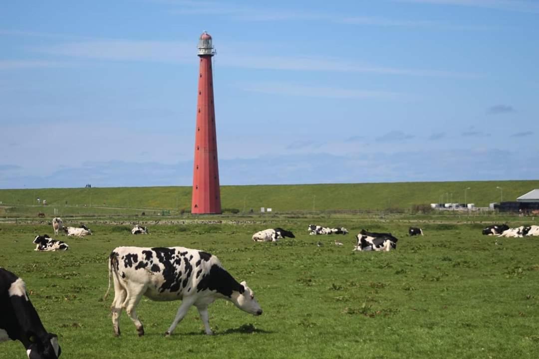 Overnachten Onder De Lange Jaap Den Helder Exterior photo